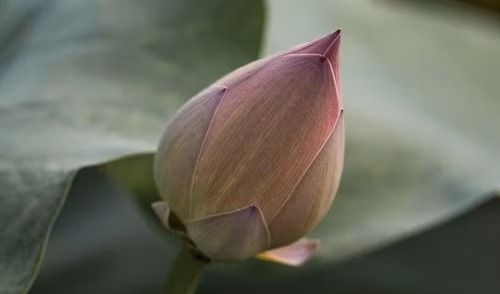 Reflecting on 2025: Words from our founder